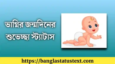 ভাগ্নির জন্মদিনের শুভেচ্ছা স্ট্যাটাস