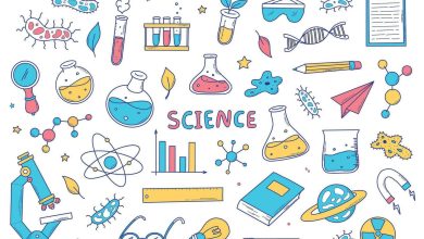 Essay on Science in Daily Life